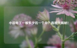 小區(qū)電工一般多少錢一個月？真相大揭秘！