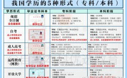 自考本科和專科哪個含金量高(自考本科和專本的區別)