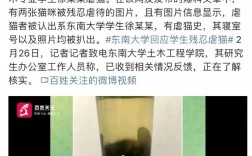 南大復(fù)試刷人很嚴(yán)重(考研難度大嗎)