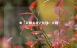 電工證模擬考試試題一點通
