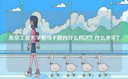 東京工業(yè)大學(xué)相當(dāng)于國內(nèi)什么檔次？什么水平？