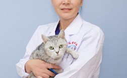 成人自考寵物醫(yī)生(自考獸醫(yī)專業(yè)有哪些學(xué)校)