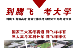 2025年合肥騰飛學校藝術類升學率專項提升方案：破解文化課短板，直擊本科