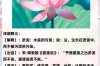 出淤泥而不染的解釋_近義詞_反義詞