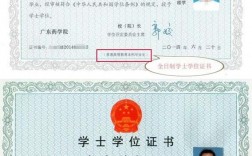 畢業后還能申請學士學位嗎(沒有學士學位可以申請碩士學位嗎)