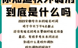 專升本不接受外校調劑是什么意思(公認無歧視的考研院校)
