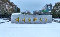 權威解讀！2025安徽自考護理學本科唯一報考院校：蚌埠醫科大學