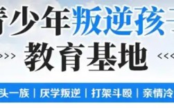 紐特心理疏導機構|叛逆、厭學、網(wǎng)癮-湖北武漢紐特心理