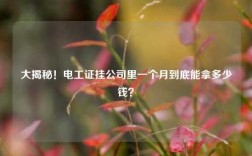 大揭秘！電工證掛公司里一個月到底能拿多少錢？