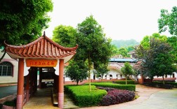 重慶德志錦輝素質(zhì)教育為什么好評如潮？