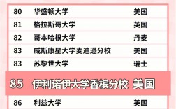 伊利諾伊大學香檳分校相當于國內哪個大學？世界排名多少？