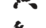蒼黃反復(fù)是什么意思_近義詞_來(lái)源