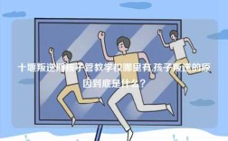 十堰叛逆期孩子管教學校哪里有,孩子叛逆的原因到底是什么？