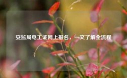 安監(jiān)局電工證網(wǎng)上報(bào)名，一文了解全流程