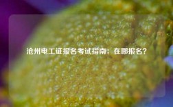滄州電工證報名考試指南：在哪報名？