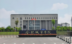 2025年成考專(zhuān)升本合肥城市學(xué)院財(cái)務(wù)管理專(zhuān)業(yè)政策解析：報(bào)名條件與流程全攻略