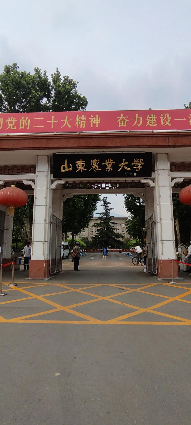 山東最容易考研的大學(xué)(一般二本建議考研學(xué)校)-圖1