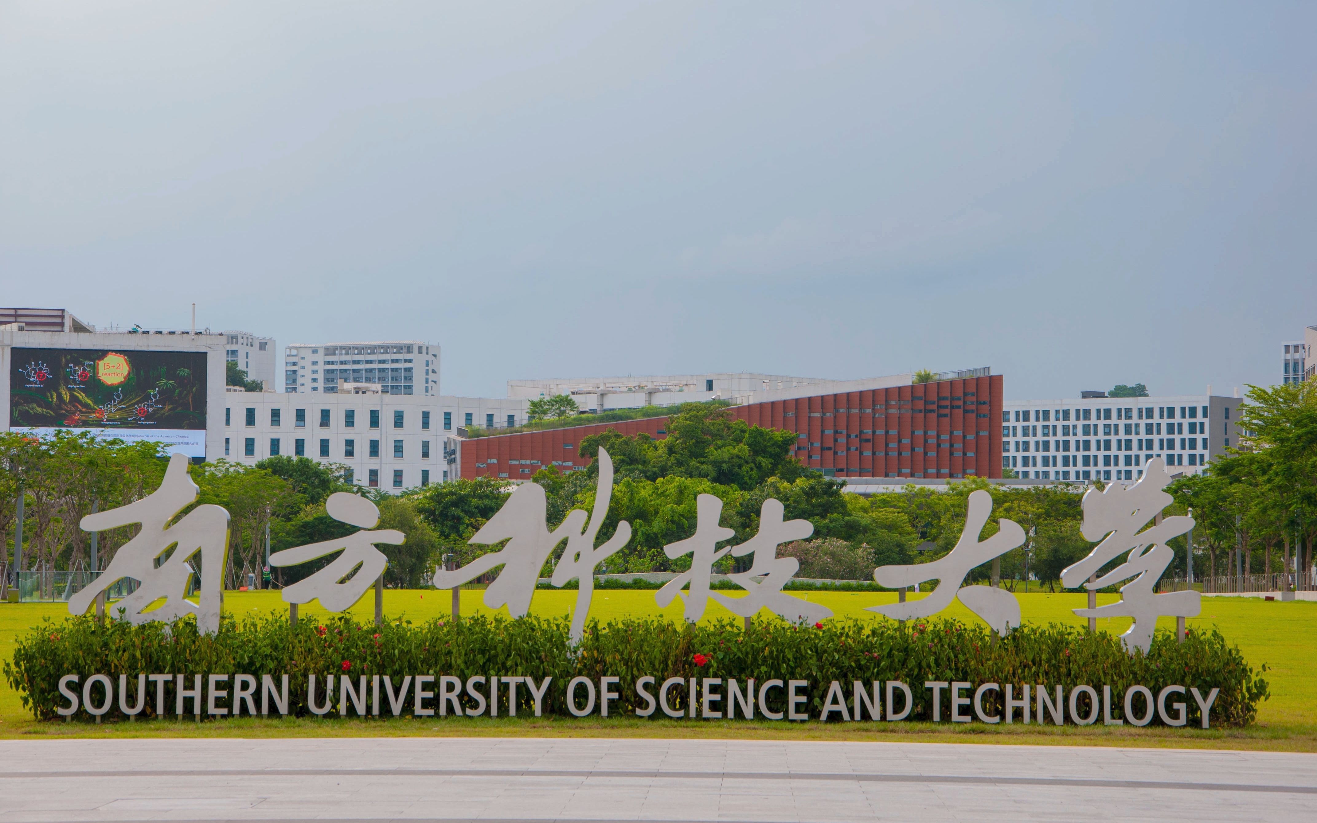 失敗的南科大(南方科技大學(xué)系主任跳槽)-圖1