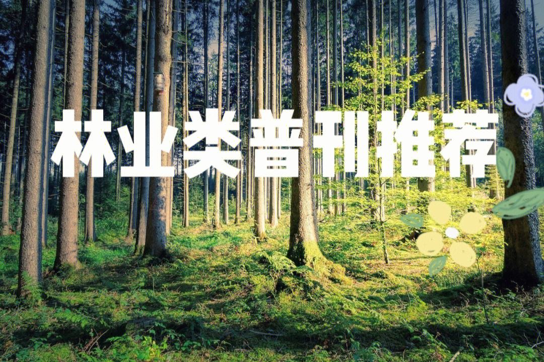 林業(yè)研究方向哪個(gè)好(考研林業(yè))-圖1