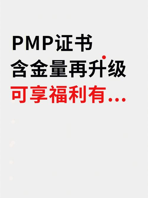pmp含金量(pmp證書(shū)報(bào)考條件要求)-圖1