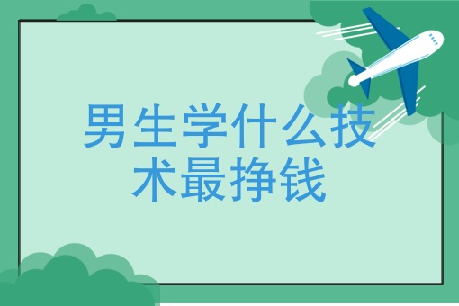 男生學什么技術最掙錢(18歲學什么技術好很迷茫)-圖1
