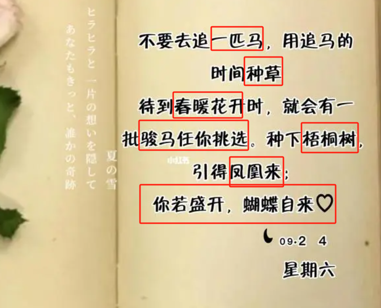 上帝為你關(guān)上一扇門就會(huì)為你打開一扇窗-圖4