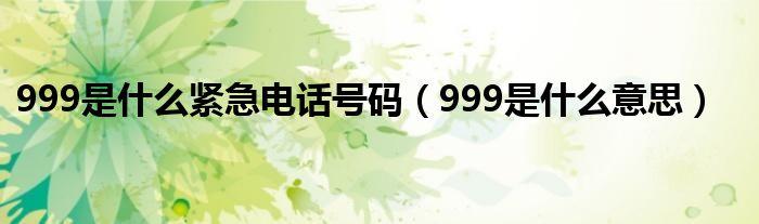999是什么電話號碼-圖1