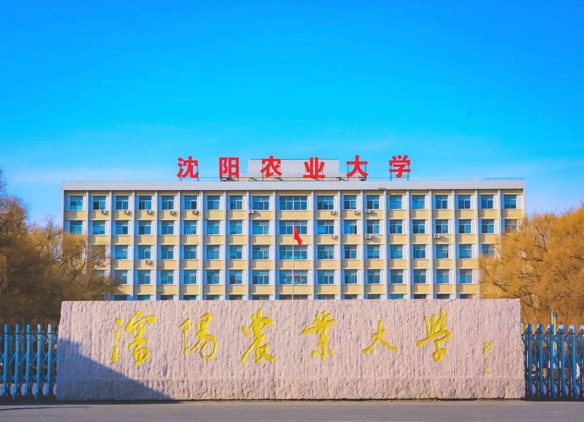 沈陽農業(yè)大學好嗎-圖1