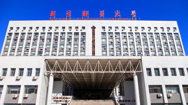 北京林業(yè)大學(xué)是雙一流大學(xué)嗎-圖1