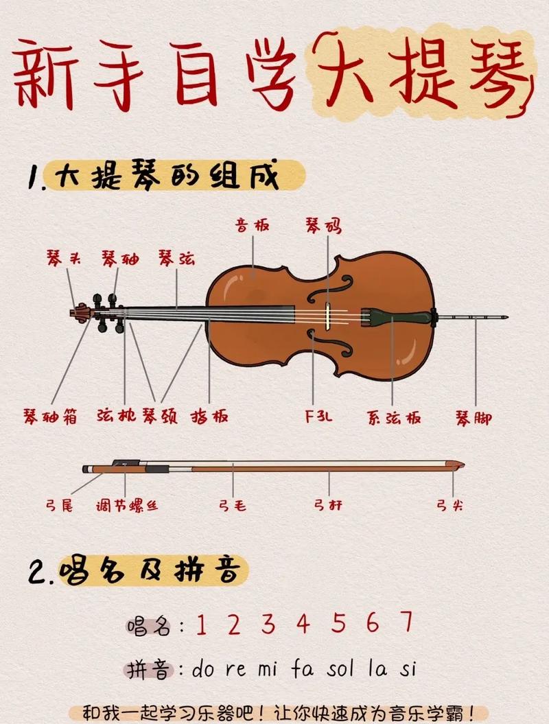 大提琴幾歲開始學(xué)最好-圖1
