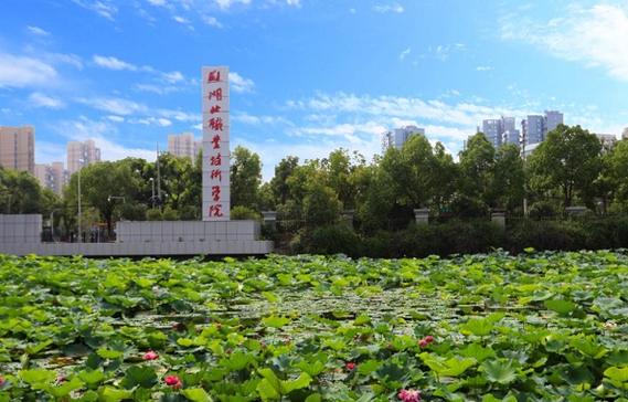 湖北大學職業技術學院-圖1