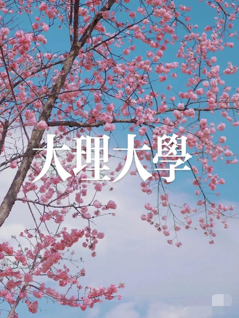 大理大學研究生官網yjsc.dali.edu.cn-圖1