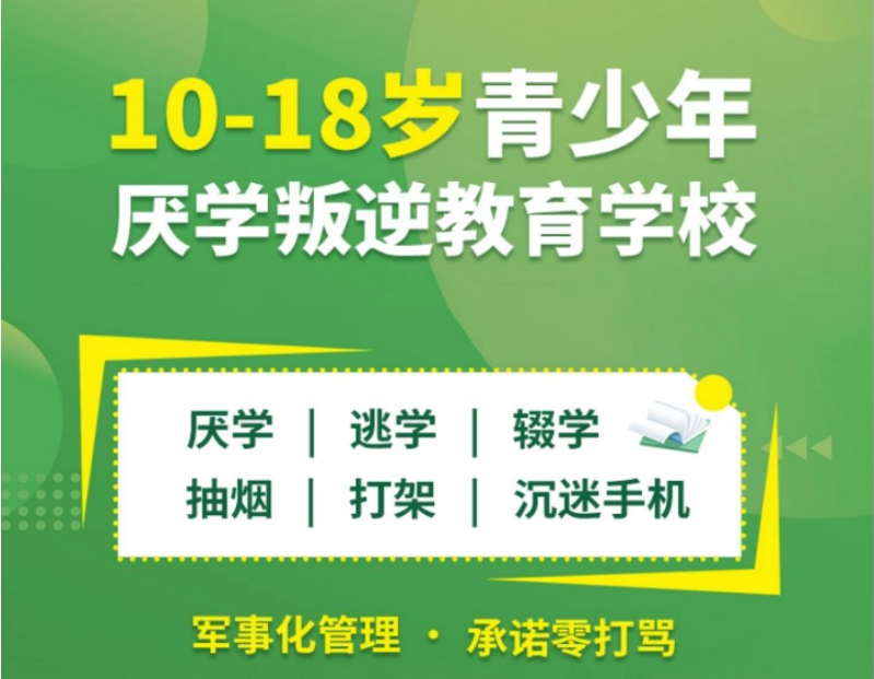 受好評(píng)的正規(guī)改變叛逆網(wǎng)癮孩子的學(xué)校及青春期教育策略-圖2