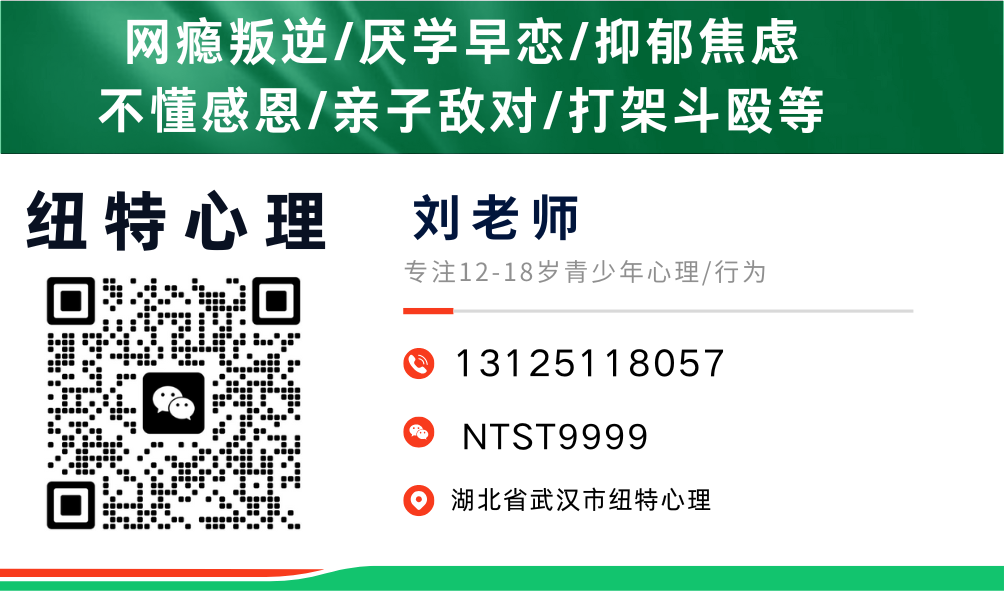 湖北十大青少年網(wǎng)癮戒除學(xué)校排名推薦（專注8-18青少年）-圖5