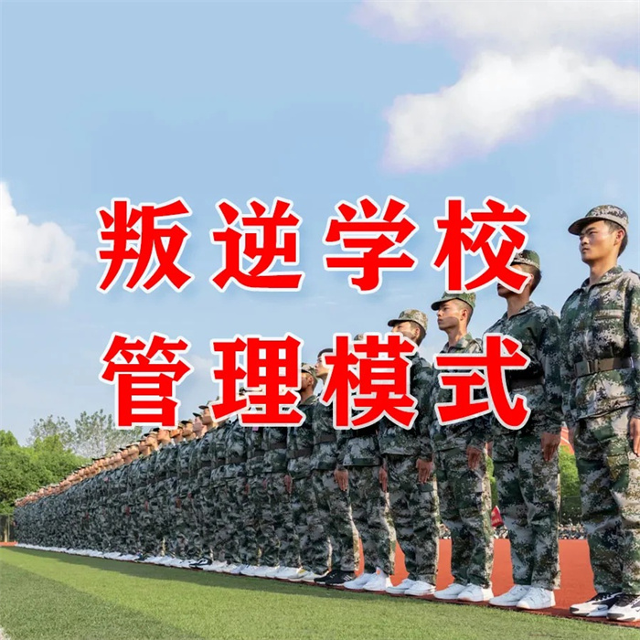 2025年 陜西銅川叛逆孩子全封閉學(xué)校：行業(yè)前十推薦-圖3