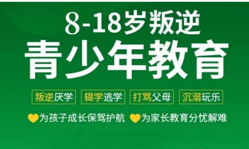 2025湖南永州精選叛逆教育機(jī)構(gòu)榜單-圖1