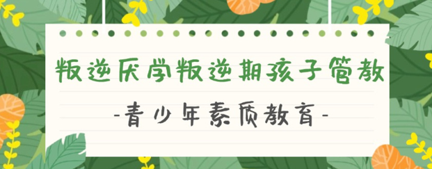 武漢紐特心理-央視唯一報(bào)道品牌,武漢專注青少年網(wǎng)癮叛逆學(xué)校-圖1