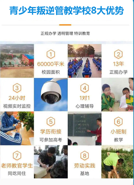 湖北武漢紐特心理孩子早戀網癮矯正學校-圖2