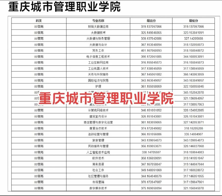 重慶城市管理職業(yè)學(xué)院錄取分?jǐn)?shù)線-圖1