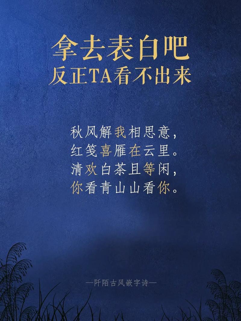 表白的詩(shī)句藏頭詩(shī)-圖1