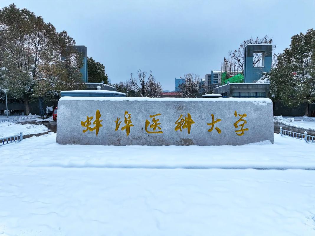 權威解讀！2025安徽自考護理學本科唯一報考院校：蚌埠醫(yī)科大學-圖1