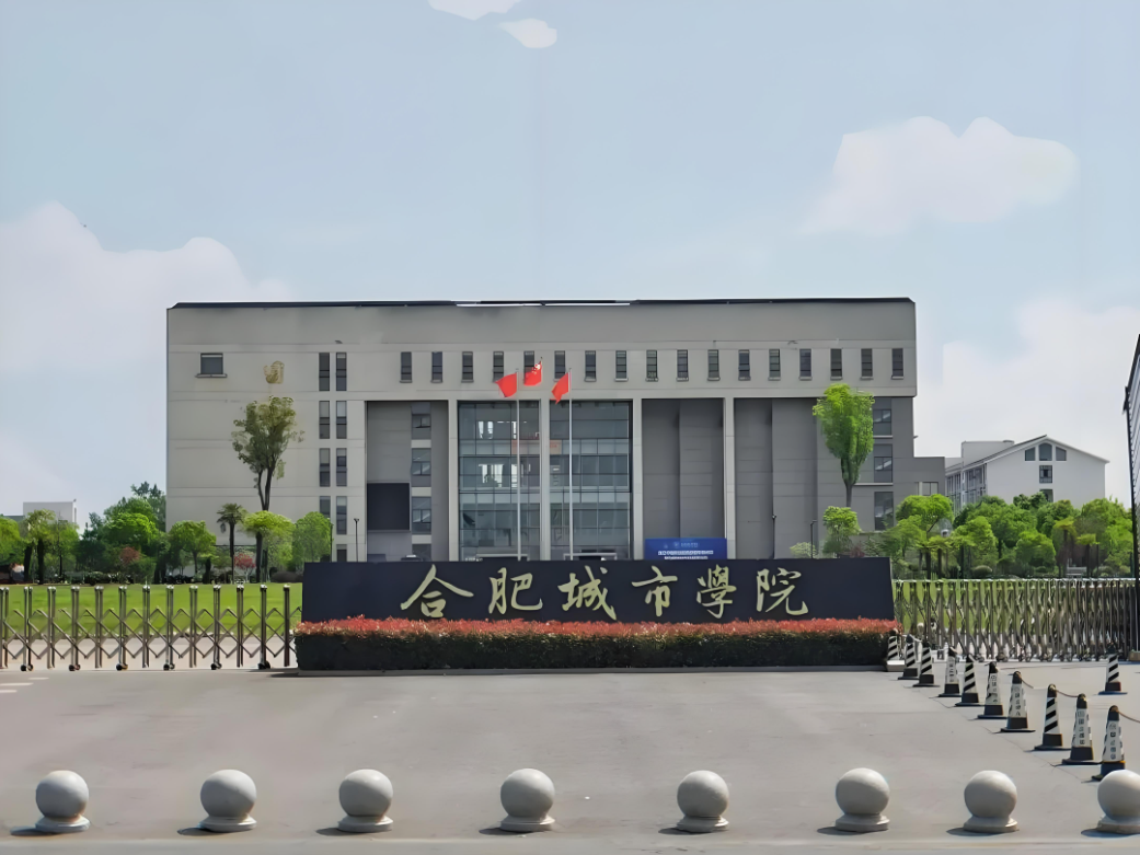 2025年成考專升本合肥城市學院財務管理專業(yè)政策解析：報名條件與流程全攻略-圖1