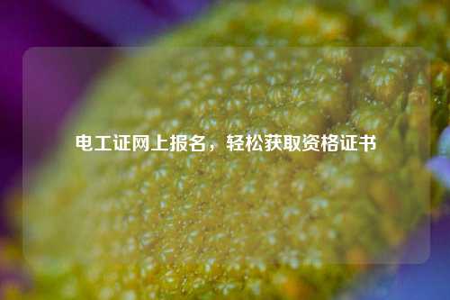 電工證網上報名，輕松獲取資格證書-圖1