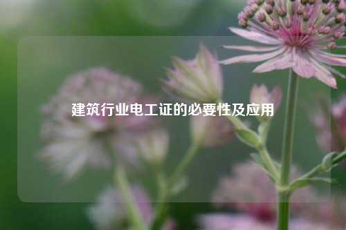 建筑行業(yè)電工證的必要性及應(yīng)用-圖1