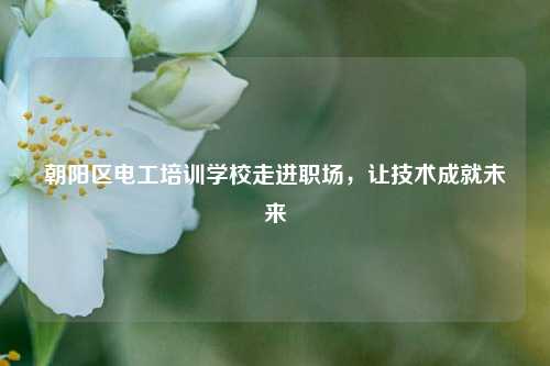 朝陽區(qū)電工培訓(xùn)學(xué)校走進(jìn)職場(chǎng)，讓技術(shù)成就未來-圖1