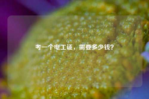 考一個(gè)電工證，需要多少錢？-圖1