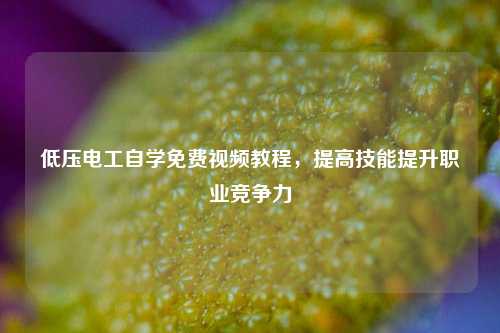 低壓電工自學(xué)免費(fèi)視頻教程，提高技能提升職業(yè)競爭力-圖1