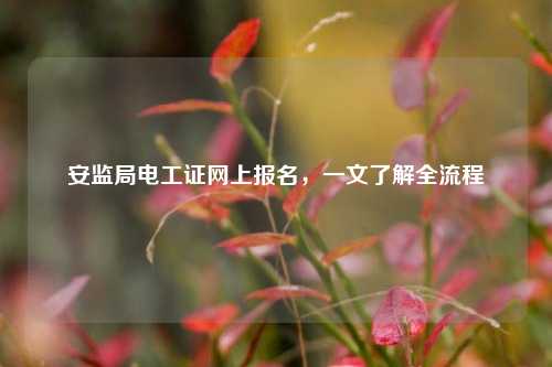 安監(jiān)局電工證網(wǎng)上報(bào)名，一文了解全流程-圖1