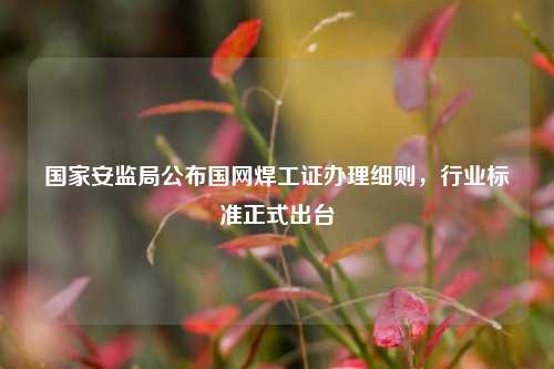 國家安監局公布國網焊工證辦理細則，行業標準正式出臺-圖1