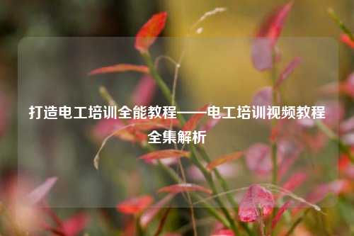 打造電工培訓(xùn)全能教程——電工培訓(xùn)視頻教程全集解析-圖1